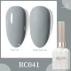 RC041