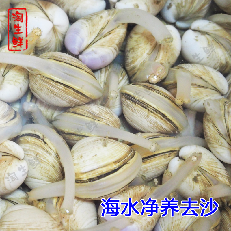 海鲜保鲜新革命：水产活体展示与售卖的多功能设备