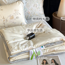 LUXE|Summer Lyocell Tencel summer cooling quilt set of four machine washable thin summer quilt cool feeling ice silk air conditioning quilt