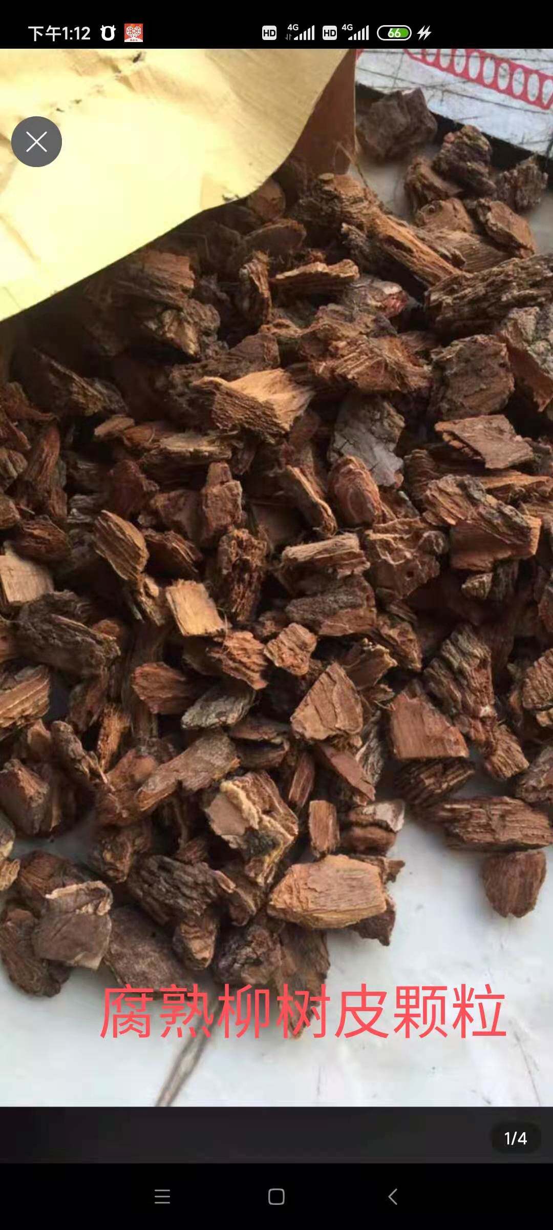 Real willow tree leather fermented rotten willow tree decaying leather grain orchid growing stock bonsai famous flowers