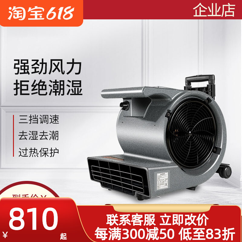 Yanzi CF1 High Power Blow Ground Blower Hotel Commercial Carpet Ground Floor Drying Dehumidified Hair Dryer