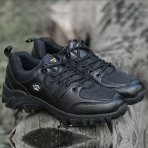 Shield Lang black low-top tactical shoes non-slip wear-resistant combat shoes Special Forces Tactical shoes military fans outdoor hiking shoes boots