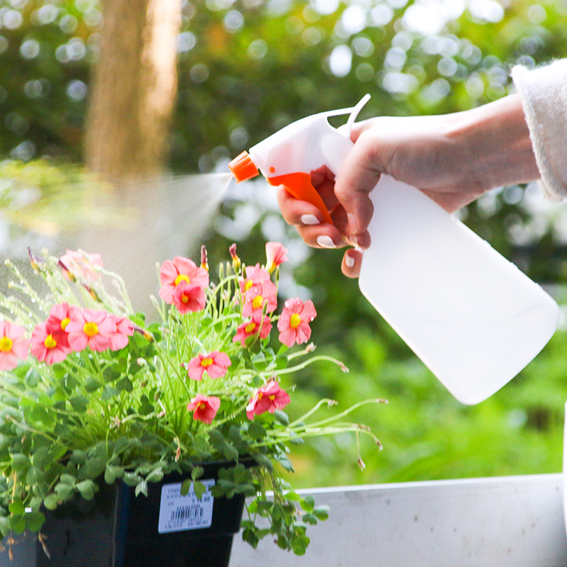 Gardening watering Mini small spray pot Multi-meat plant watering Home transparent Small hand press Spray Bottle 500mL