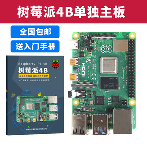 Raspberry Pi 4 raspberrypi 4b basic kit Python programming artificial ...