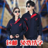 Демисезонный осенний комбинезон, износостойкий лонгслив, увеличенная толщина, делается под заказ