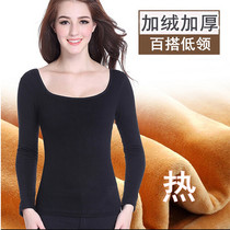 Cold-proof and warm lingerie woman gush thickened with low collar cotton sweatshirt tight fit bottom single piece blouse complexion pure cotton autumn clothes