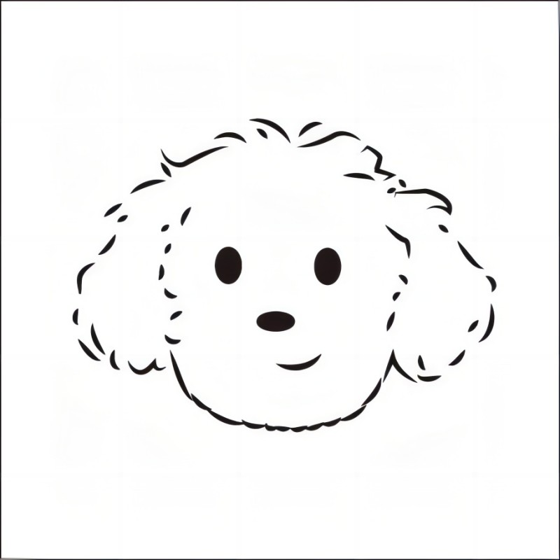 Bowoo