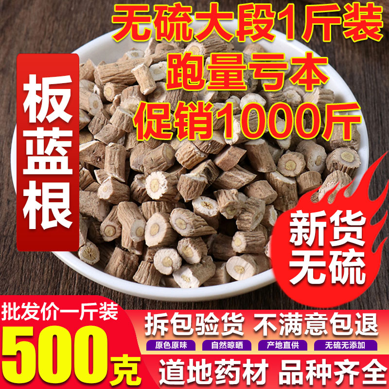 Chinese herbal medicine pure natural sulphur-free Isatis Root-root Isatis India tea Isatis India with large green leaves 500g