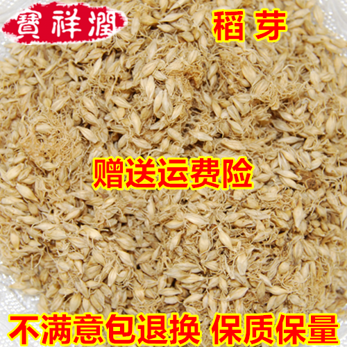 Chinese medicine batch of rice buds rice buds large gluten rice rice rice rice rice rice rice rice rice rice rice rice rice - gram