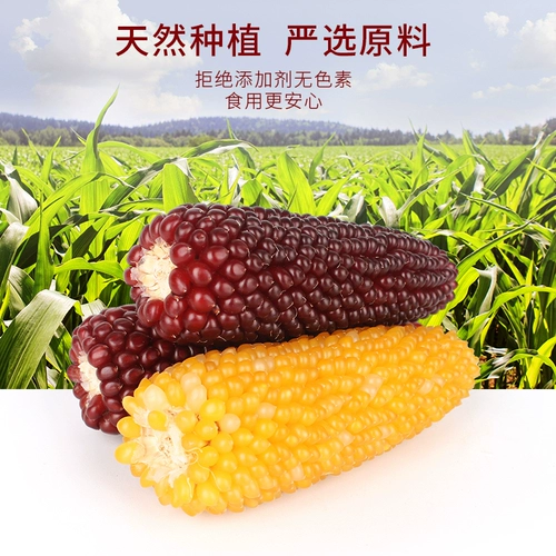 HAM Semi Corn Baseball Mogan стержневые закуски Зерно Золотая кожа медвежь