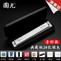 Коллекция издания 24 Horon Silver Hamic Sound [Sound Bid]+Полный набор подарков+видео -обучение