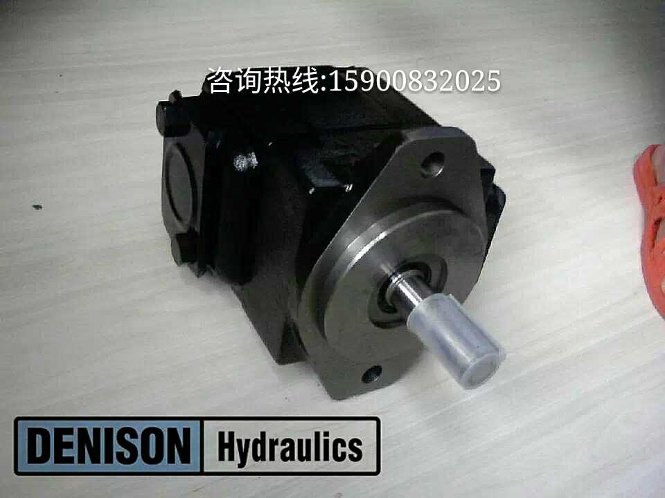 Brand new import Denison DENISON vane pump T6E-045-2R00-A1