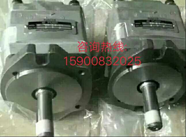 Japan NACHI Fujiyue IPH-2B-8-11 IPH-2B-6 5-11 Imported Gear Pump