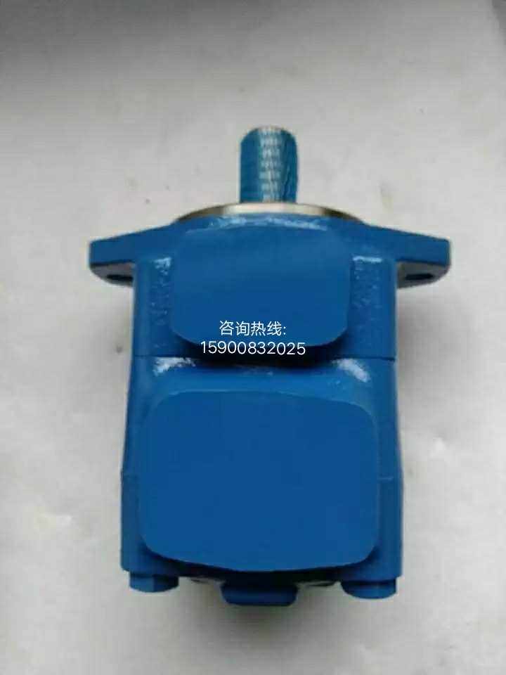 Vickers blade pump 35V-30A-1A-22R Waggs oil pump F3-35V25A-1A22R