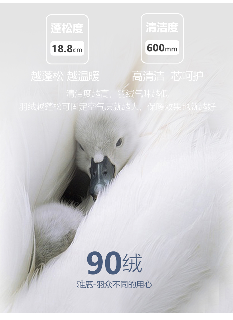 反季清仓 雅鹿 儿童 薄款羽绒服 90%白鸭绒 图4