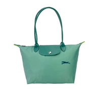 Длинное озеро в вышитой лошади зеленое