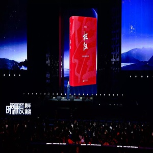 枢纽 3000年的中国 施展 著作 史学理论社科 新华书店正版图书籍 广西师范大学出版社