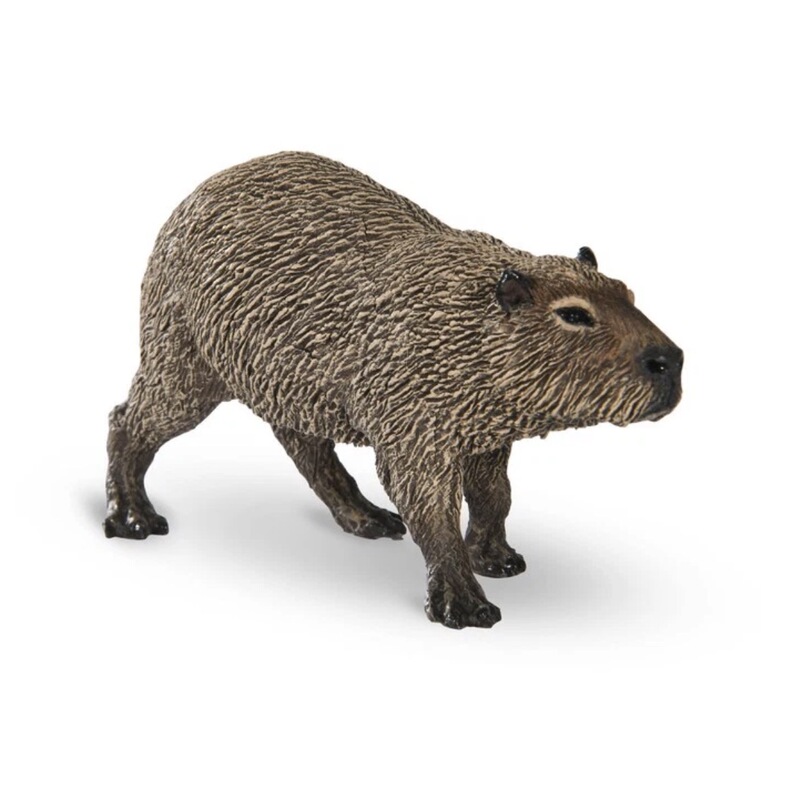 Papo Capybara 50327 Simulated Animal Model Toy 2026 New Model