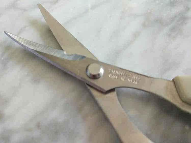 Spiced fishing gear Japanese origin TAKA stone snapper fishing scissors rock fishing special stainless steel curved mouth scissors