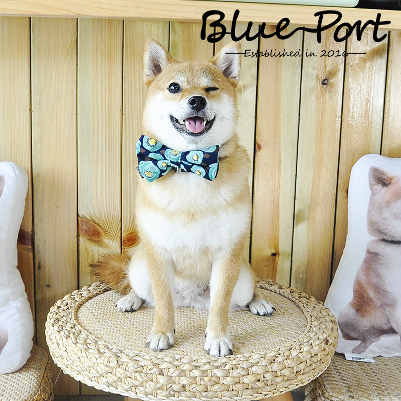 Blue port pet pure cotton resistance tie dog accessories gentleman Yaobu Butterfly Bow Diesel cute collar