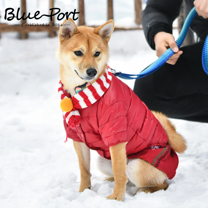 Blueport Autumn and Winter Pet Clothing Warm Cotton Cotton Cotton Cotton Common Clothes Small and Medium Dog Diesel Cotton