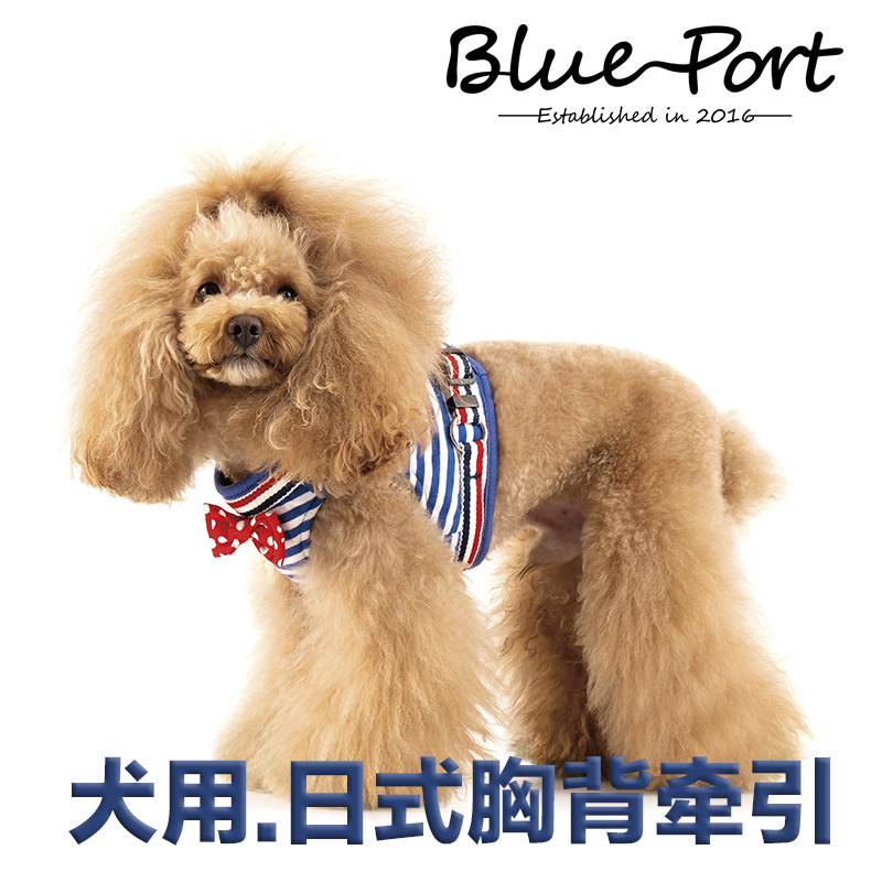 Blue port Japanese pet chest tract small dog with chest coat to protect the tube from the dignity