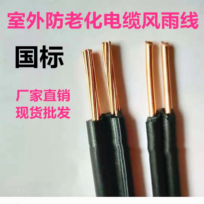 Copper Core Anti-Aging Cable National Standard Outdoor Wind and Rain Wire Entry Parallel Wire 2 Core *2.5 4 6 10 16 Flat
