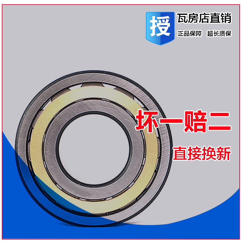 German INA outer spherical surface filled with roller bearings SL06064 SL06068 NNCF3060