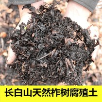 Fermented pure tussah leaf humus soil humus soil orchid Clivia special oak leaf planting nutrient soil fertilizer