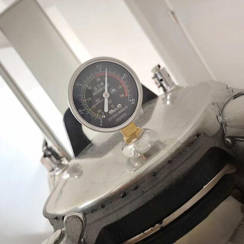 手提式高压力消毒锅气表灭菌锅器双刻度压力表0-0.25mPa带温度138