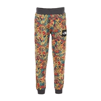 NF0A3BPO9XP/штаны