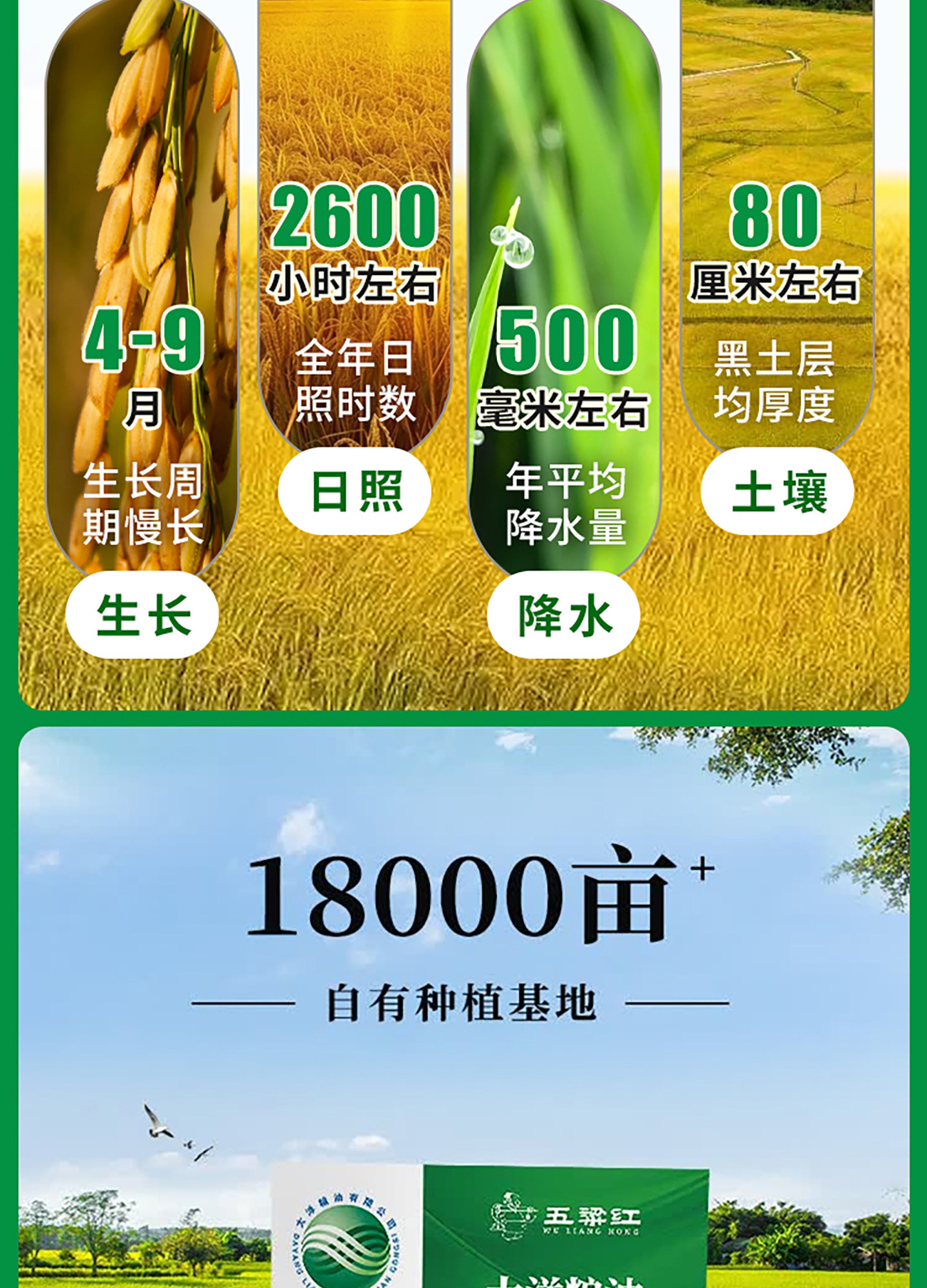 安享好物 安享S级粳米-五粱红有机五常大米 国标 