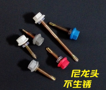 Large and national standard nylon head drilling tail screw color steel tile nail self-drilling self-tapping anti-water nylon head hexagonal drilling tail screw