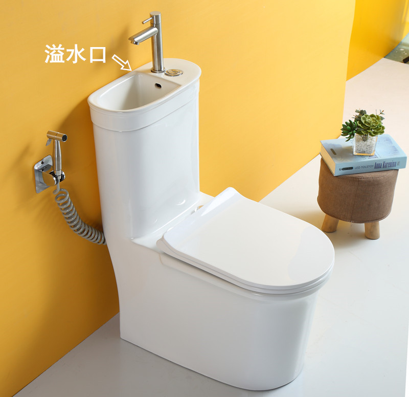 Washing toilet with faucet special custom double 220 25 300 350 380 450 500 550 pit distance