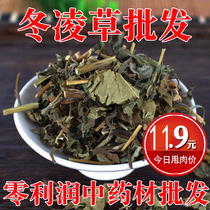 New tea 1kg Dongling tea Jiyuan winter lingcao tea throat tea rubbings grass