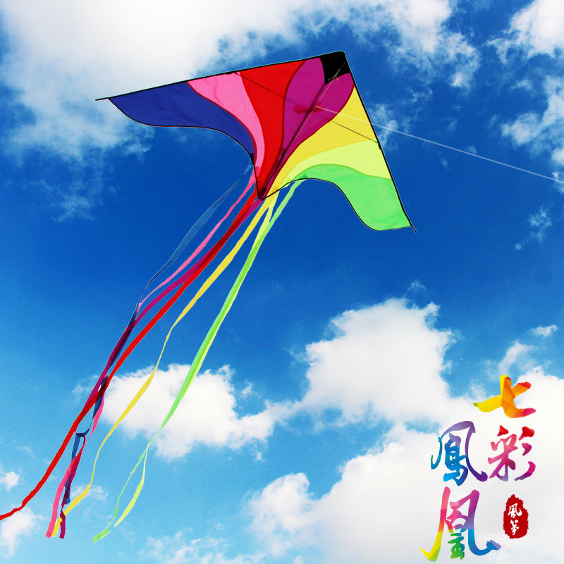 Weifang kite Rainbow colorful phoenix kite reel Easy to fly breeze Adult children easy to fly triangle kite