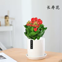 Изысканный большой горшок с цветами из красной ленты (белый фарфоровый цилиндрический горшок) (купи 2 и получи лейку)