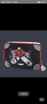 Ice rink professional ice hockey goal standard ice hockey training detachable portable ice hockey goal home ice hockey goal