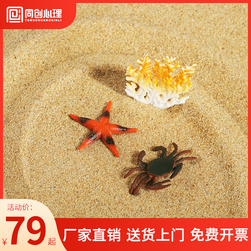 Tongchuang natural sea sand psychological sandbox game special sand washing and disinfecting delicate baby toys to play with sand