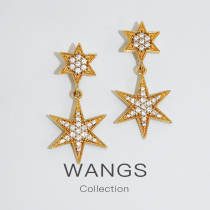 WANGS custom beautiful dislike 925 silver zircon star pendant gold earring stud earrings original design