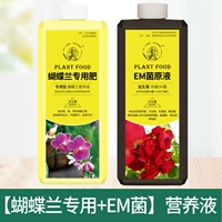 [Phalaenopsis Special Putrition Solution+EM Bacteria] 500 мл каждая бутылка