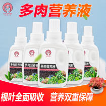 Succulent nutrient solution special type organic fertilizer Green Radish fortune tree Rich bamboo succulent hydroponic flower fertilizer universal type