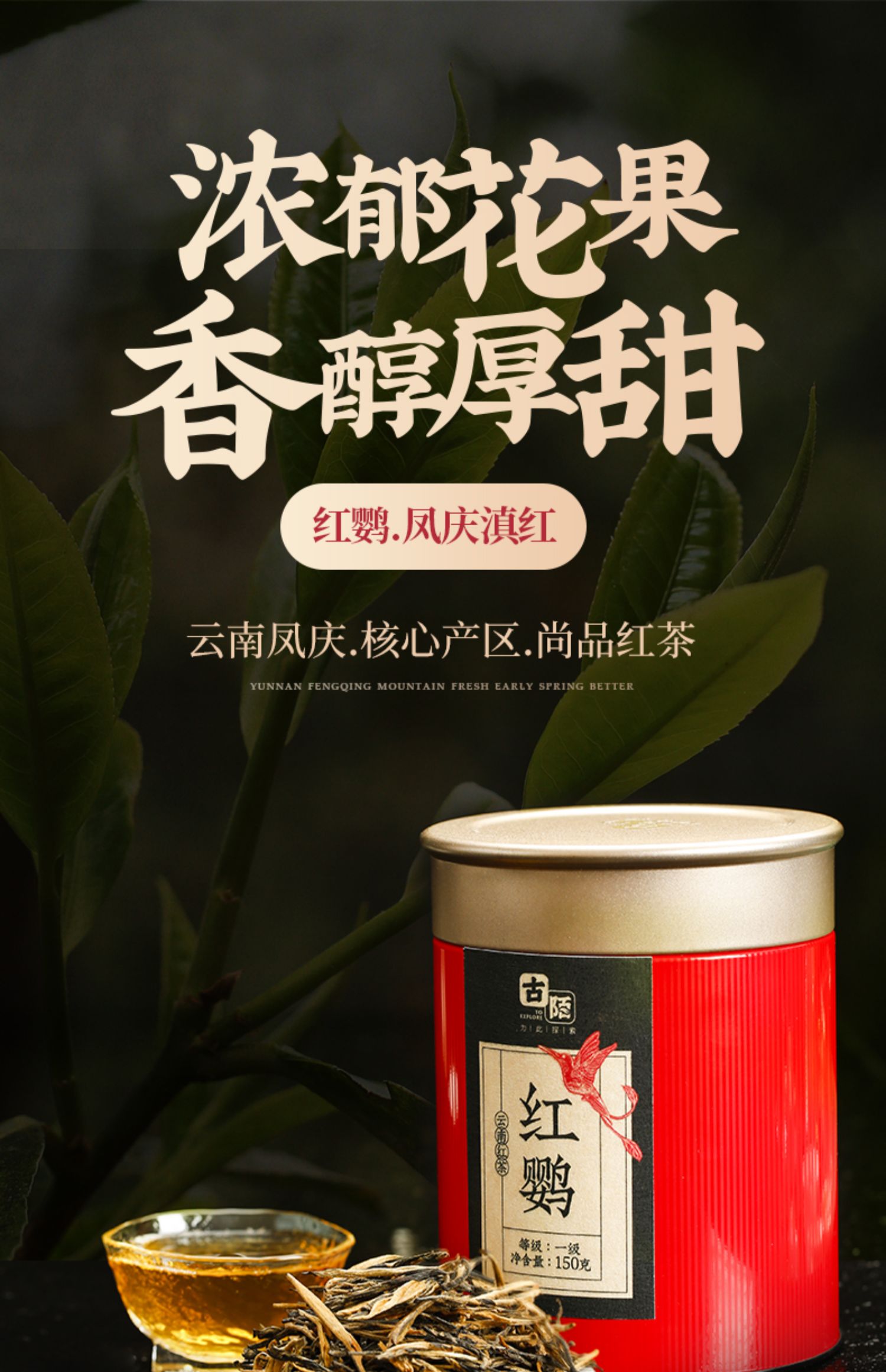 【古陌】云南工夫滇红茶红鹦春茶