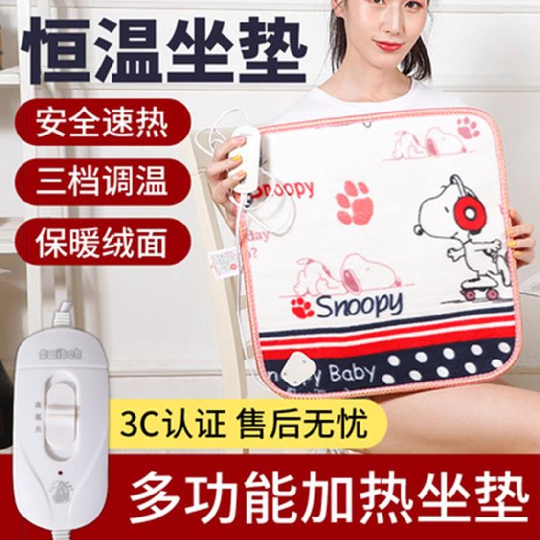 Computer warm hand Desktop fever cushion small number cushion electric heating cushion office heating backrest integrated car back cushion line