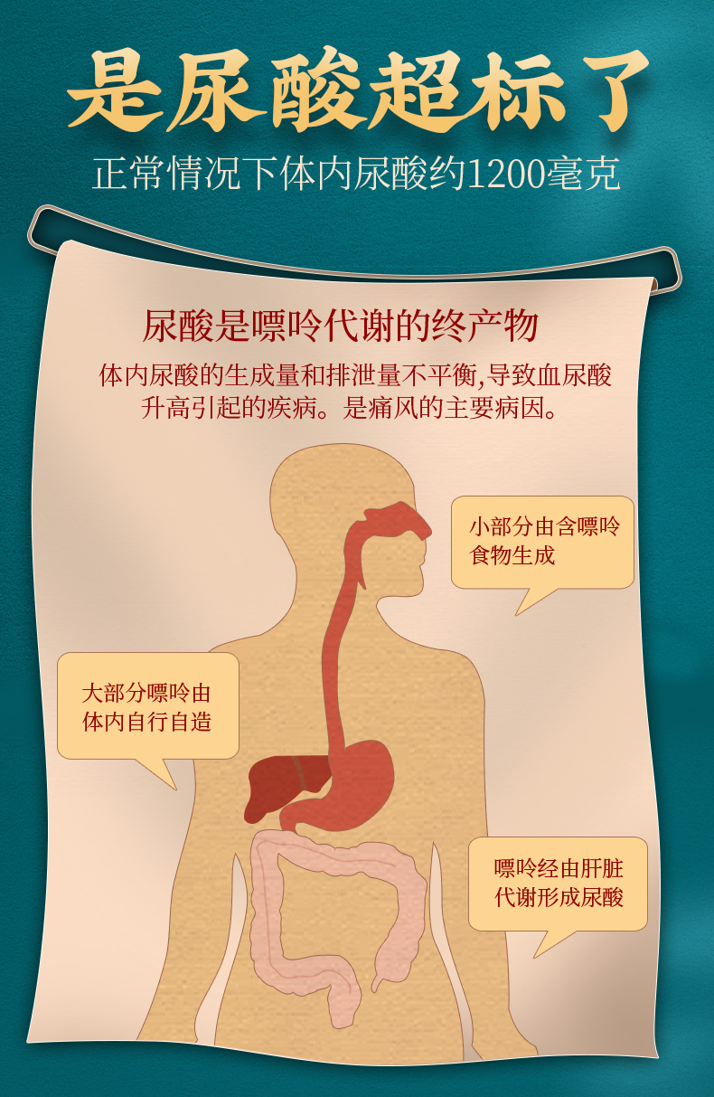 北京同仁堂菊苣栀子茶150g