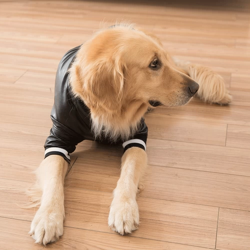 Куртка Big Dog Street Jacket Samoying осень зимняя зимняя густые животные золоты