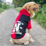 Tide Brand Big Dog Pet Одежда, собаки, золотисто -ретривер осенние костюмы, хаски саммеллабра, большая собака осень и зимняя одежда