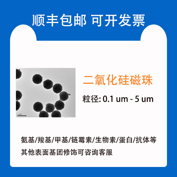 二氧化硅磁珠/sio2磁性微球/Silica Magnetic Particles5-600nm