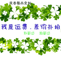 Fengtai Universal Universal pat shipping fee SF shipping fee supplement Difference supplement