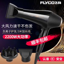 Feike Electric Hairdryer Men and Womens Barber Shop Special High Power Negative Ion Household Official Strong Wind Dry